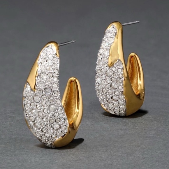 Solanales Crystal Sculpted Hoop Earrings Alexis Bittar Two Tone N27 - Picture 4 of 6